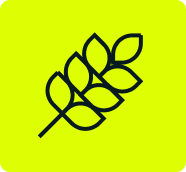Producers Icon